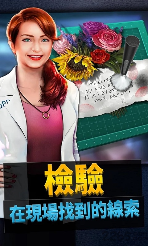 刑事案件游戏 刑事案件游戏下载