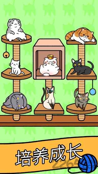 猫咪公寓手游 猫咪公寓游戏下载