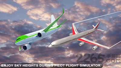 的士航空运输3D最新版