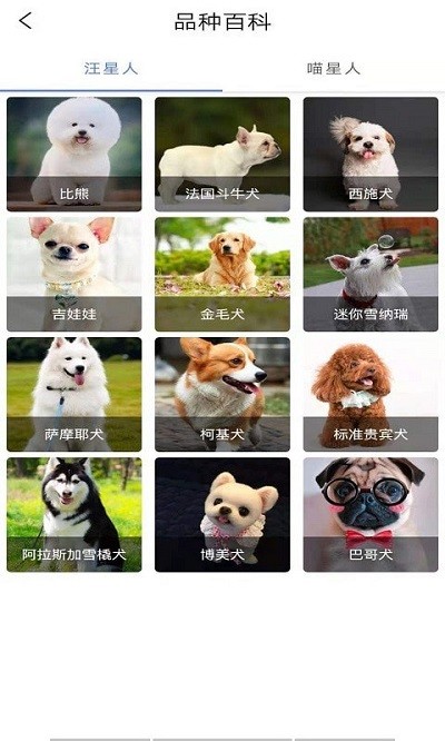 贝贝宠物百科软件下载