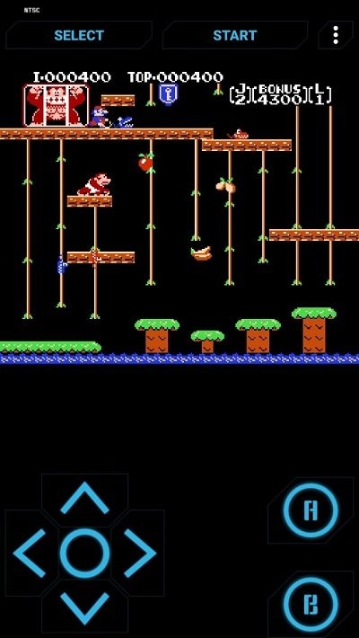 fc大金刚jr街机版