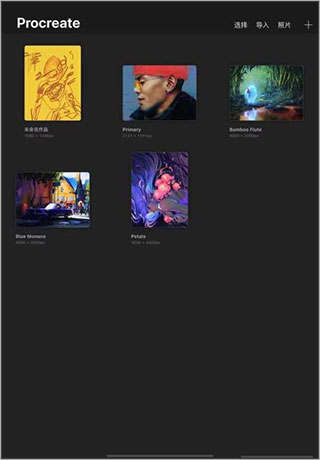 procreate绘画软件使用教程