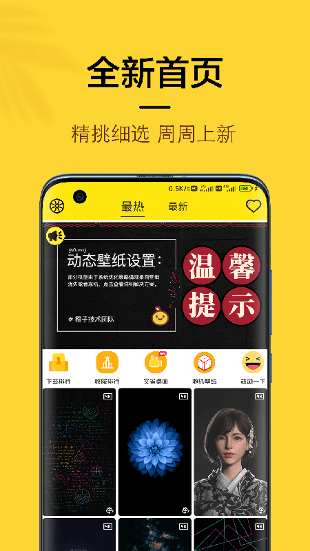 橙子4d动态壁纸app