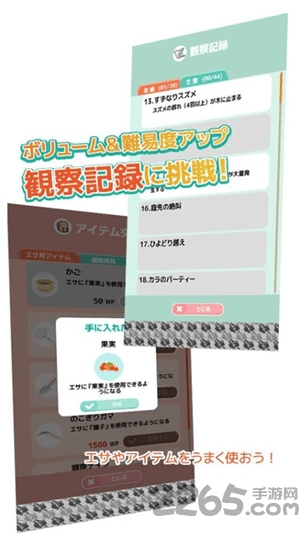 小鸟观察2游戏