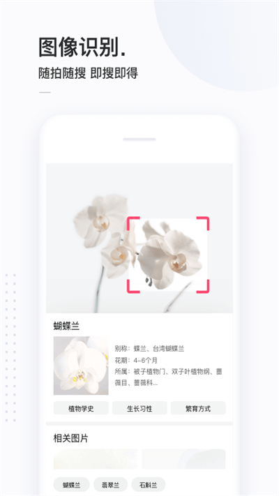 简单搜索冲顶大会