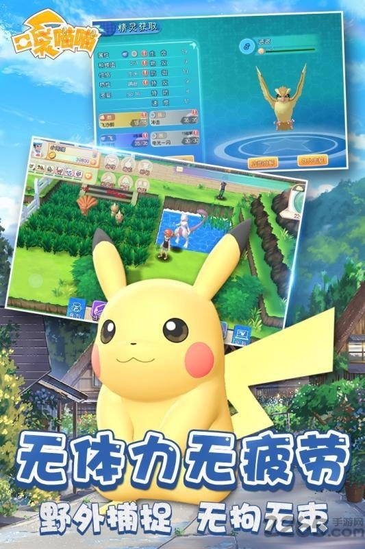 口袋喵喵海量版