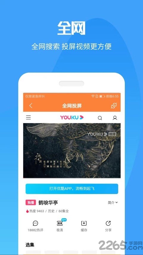 手机投屏助手王手机版