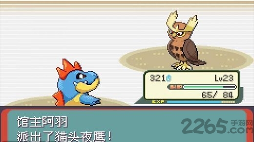 口袋怪兽心魂之羽破解版