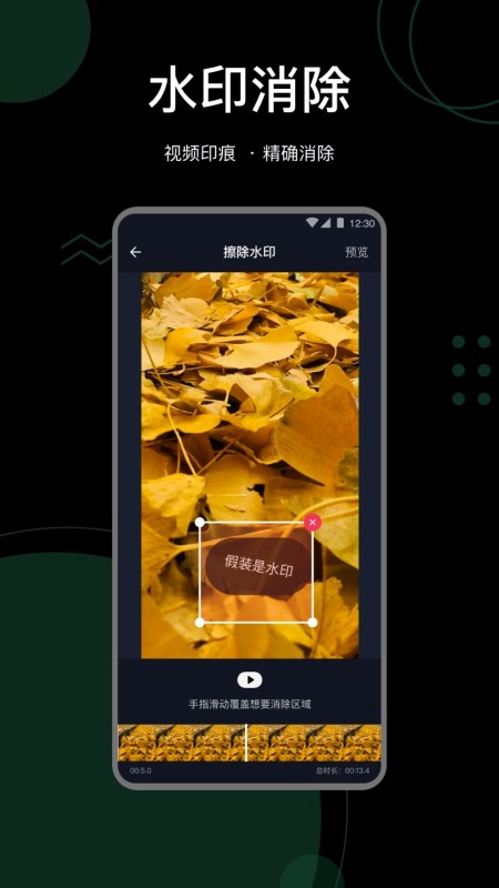 抖快去水印助手