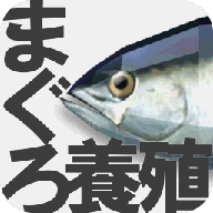 金枪鱼养殖手机游戏