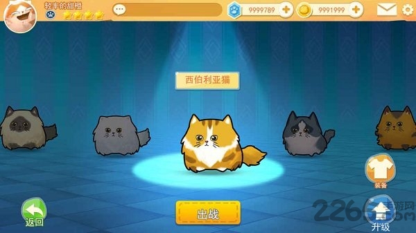 猫咪碰碰球最新版