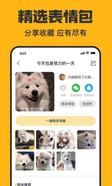 猫猴子表情包软件下载