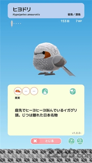 小鸟观察2官方下载