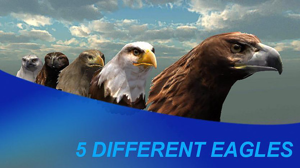 猎鹰之旅模拟器最新版