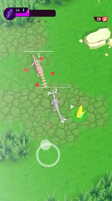 动物进化挑战游戏