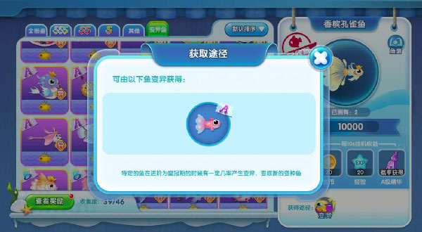 萌鱼泡泡游戏攻略大全