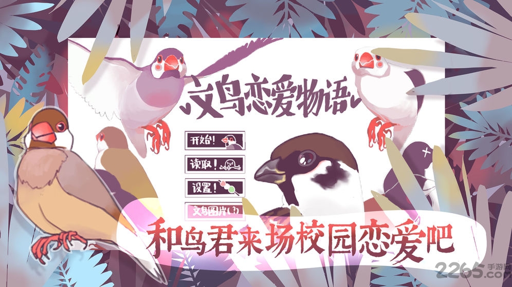 文鸟恋爱物语游戏