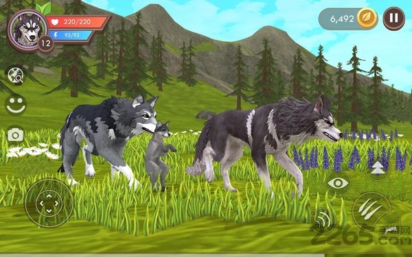 3d动物模拟器2025最新版本(WildCraft)