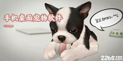 手机桌面宠物软件