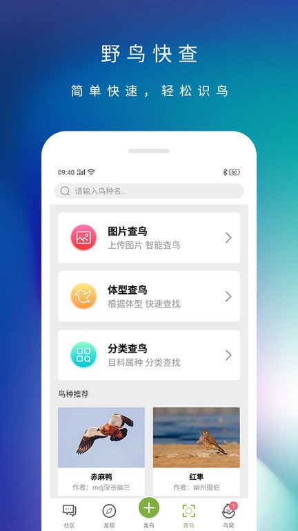 爱鸟鸟类百科