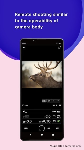 creators软件