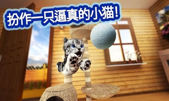 迷你小猫城市生存手游下载