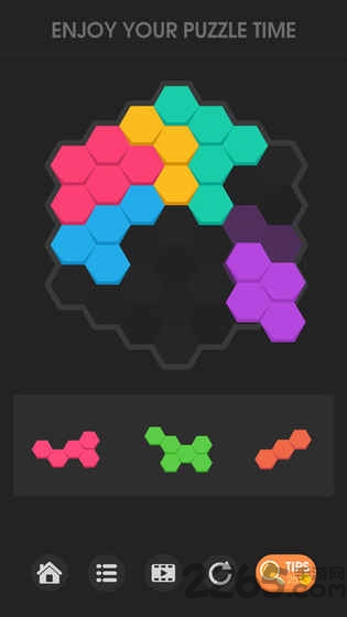 谜题大师破解版