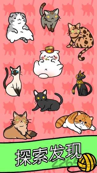 猫咪公寓手游 猫咪公寓游戏下载
