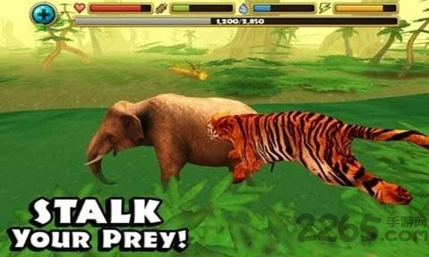 老虎模拟器游戏