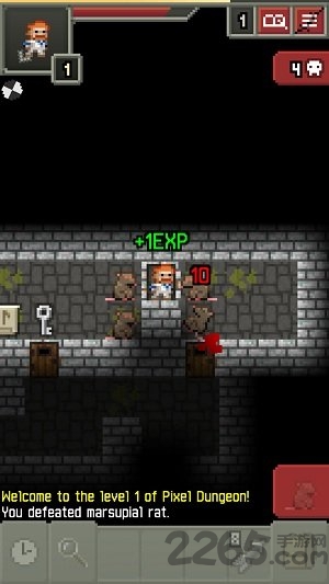 破碎的像素地牢破解版