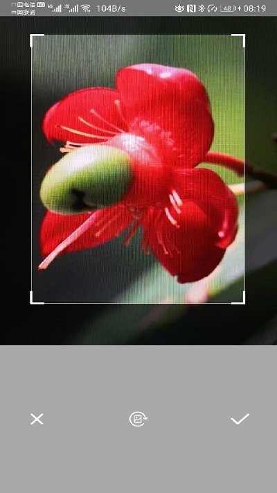 智能拍照识别app