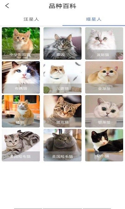 贝贝宠物百科手机版