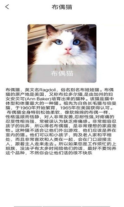 贝贝宠物百科手机版