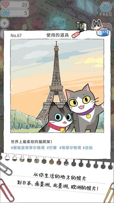 猫友圈猫咪的旅行游戏