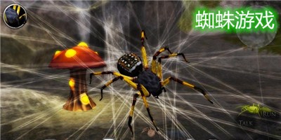 蜘蛛游戏