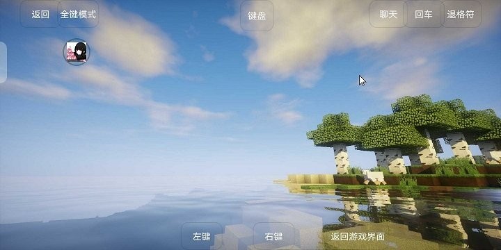 hmcl pe 雨雨子宝可梦版本