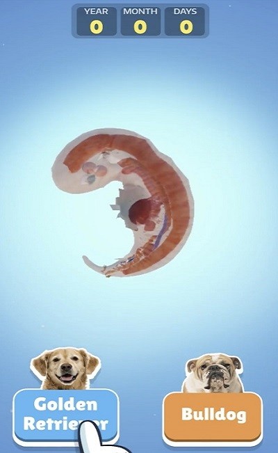 狗生活模拟器手机版