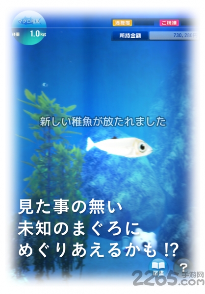 金枪鱼养殖手机游戏