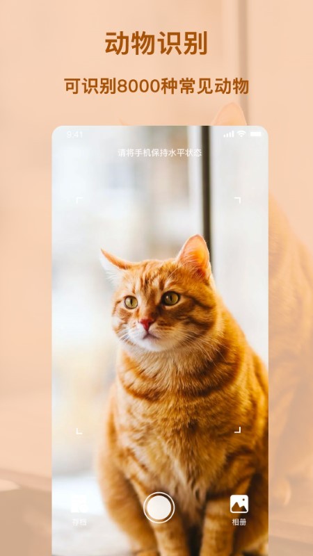 识物王app