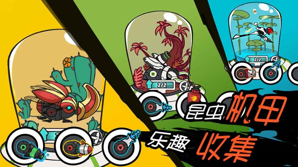 甲虫进化史中文版