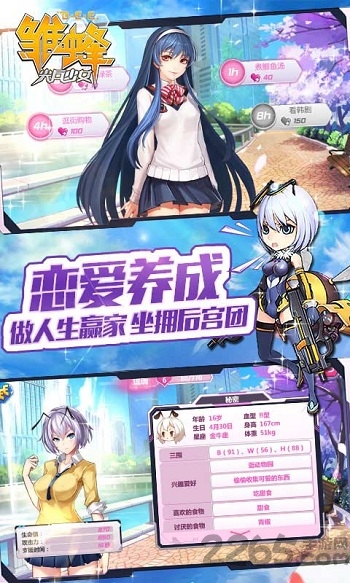 雏蜂之尖兵少女游戏