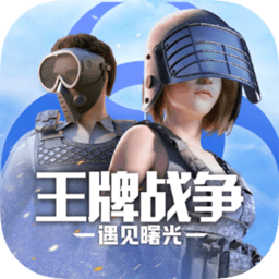 王牌战争国际版