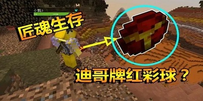 迪哥闯世界