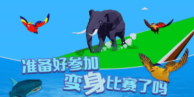 动物变身