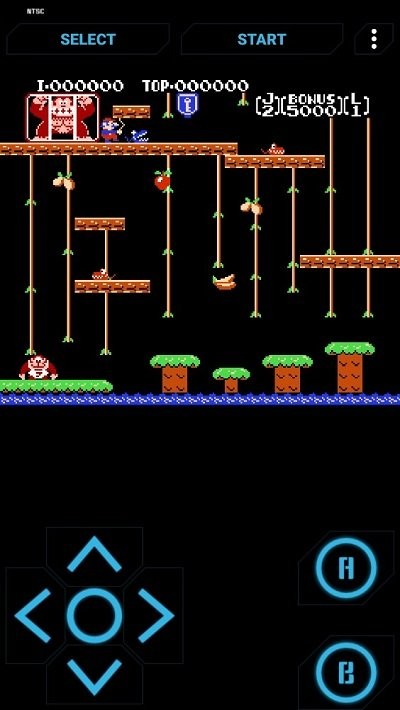 fc大金刚jr街机版