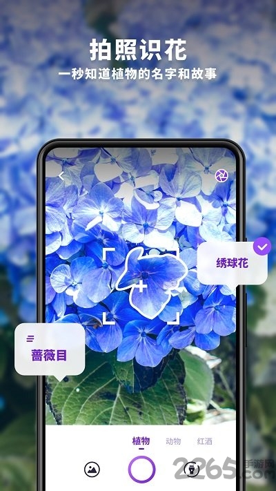 趣扫手机版