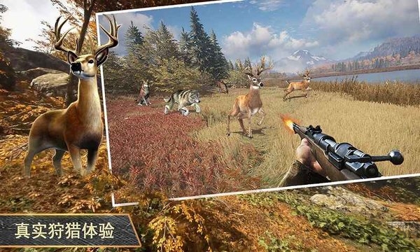 终极猎人3d手机版