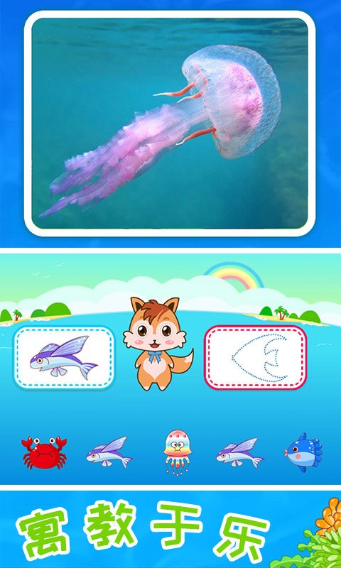儿童宝宝海洋世界app 儿童宝宝海洋世界官方版下载