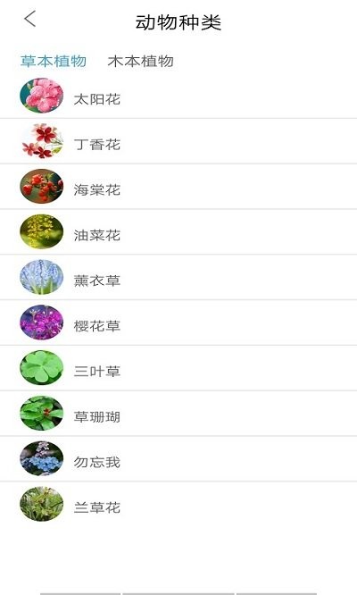 植物图鉴大全