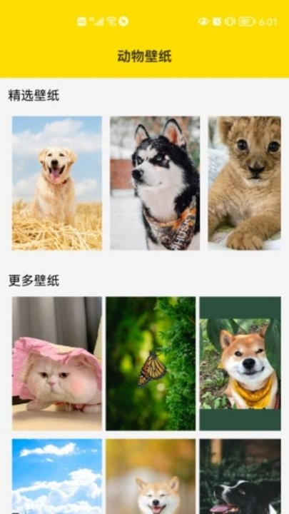 兔子表情包app